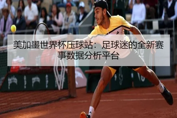 美加墨世界杯压球站：足球迷的全新赛事数据分析平台