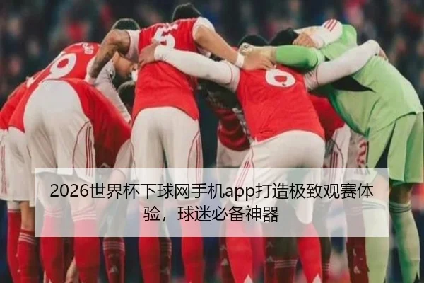 2026世界杯下球网手机app打造极致观赛体验，球迷必备神器