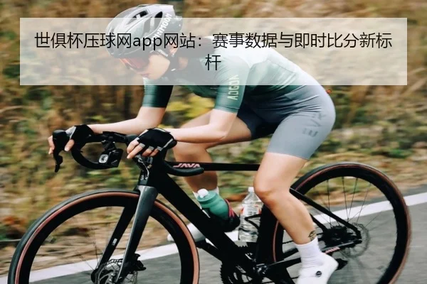 世俱杯压球网app网站：赛事数据与即时比分新标杆